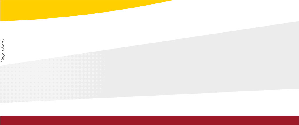 3-web-concepto_mesa_de_trabajo_1_copia_3.png