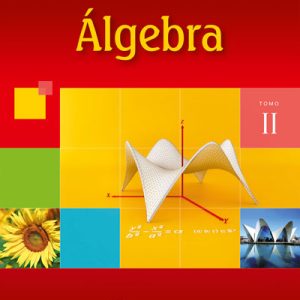 Álgebra Tomo II